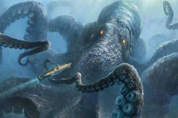 Kraken даркнет что это