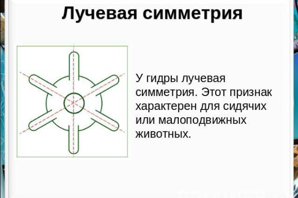 Kraken зеркала kr2web in