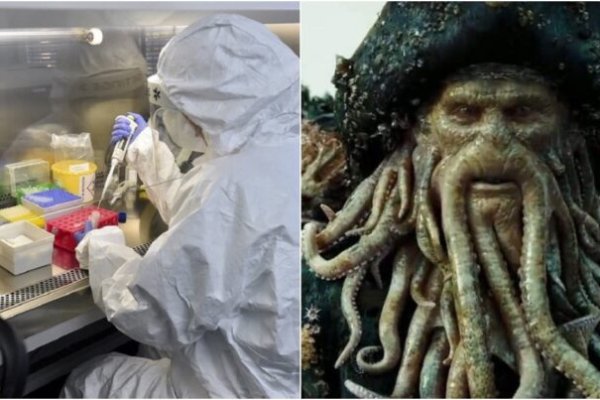 Ссылка кракен kraken torion net