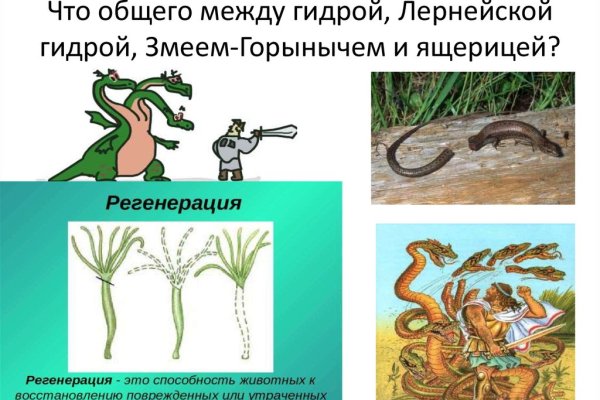 Дарк нет кракен