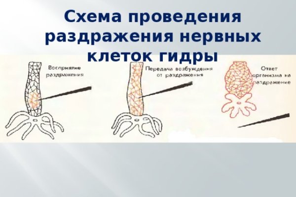 Магазин кракен даркнет сайт