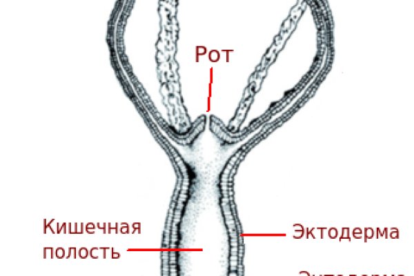 Что продает кракен