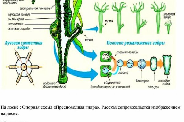 Kraken рынок