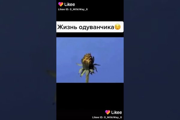 Зеркало на кракен