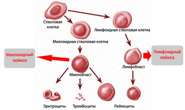 Сайт вместо гидры