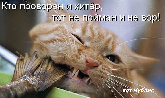Кракен порошок